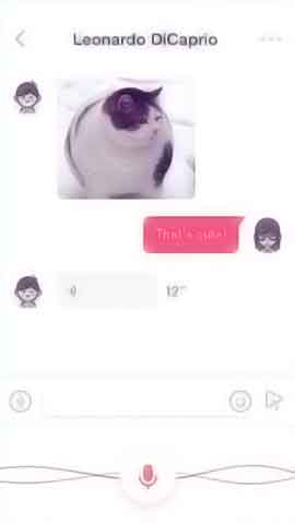 ddos网页在线攻击软件程序维护界面